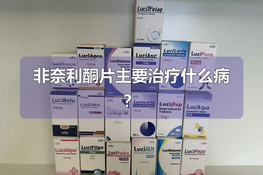 非奈利酮片主要治疗什么病？